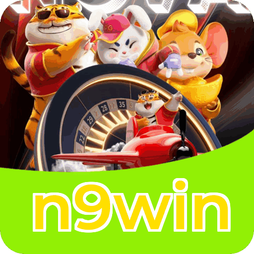 n9win Fortune — dados de jogo e conta conforme LGPD
