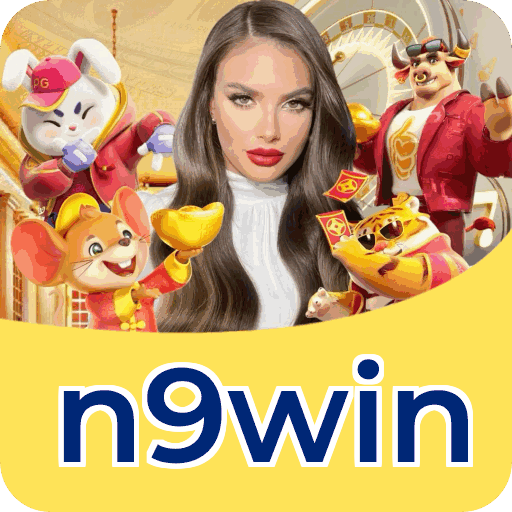 n9win apostas — dados e LGPD no site