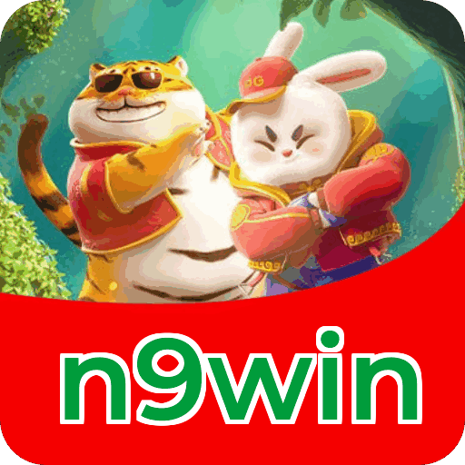 n9win download — permissões do app e LGPD